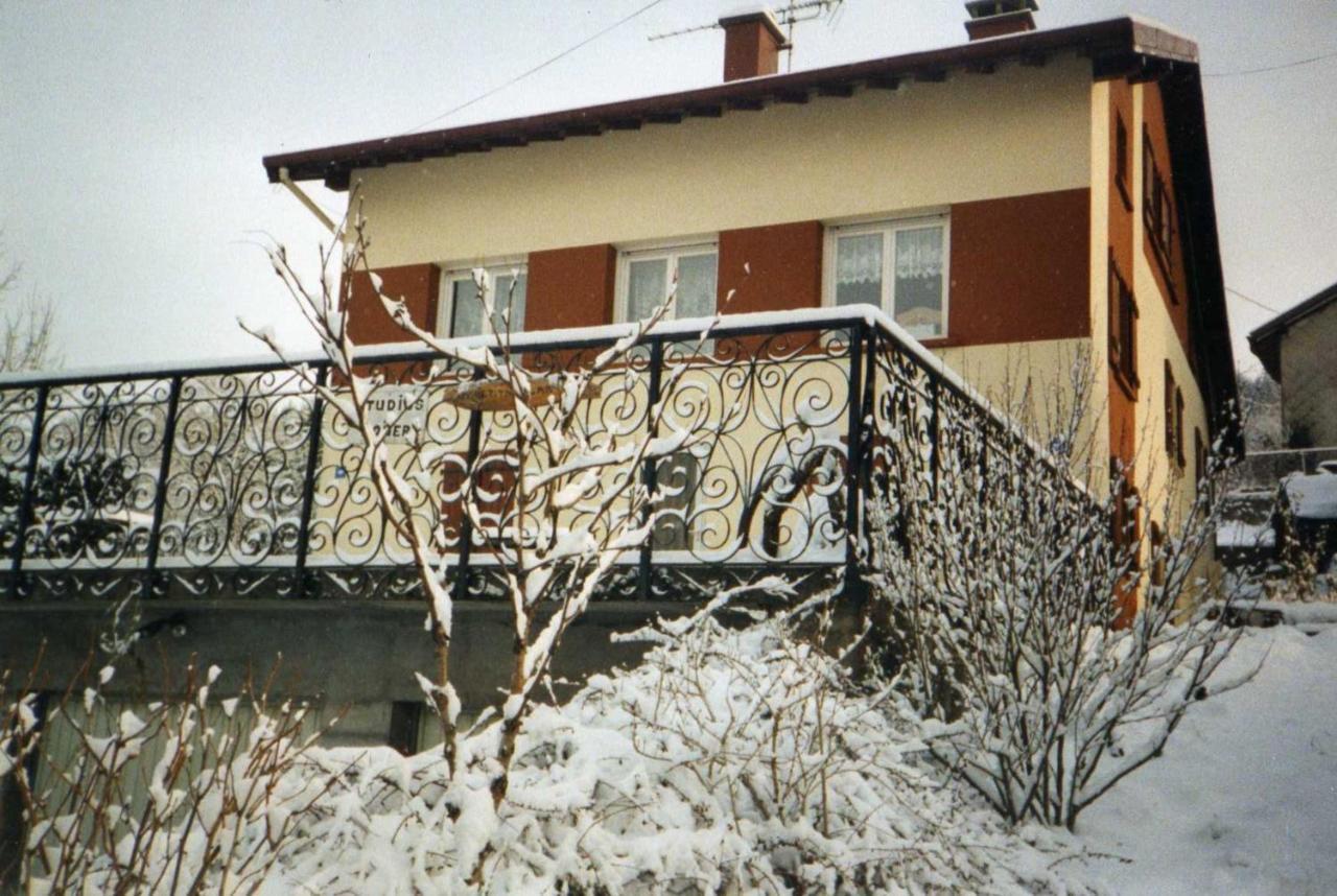 Studio Cosy Avec Vue Sur Lac Et Montagne A Gerardmer 30 M² Ngoại thất bức ảnh
