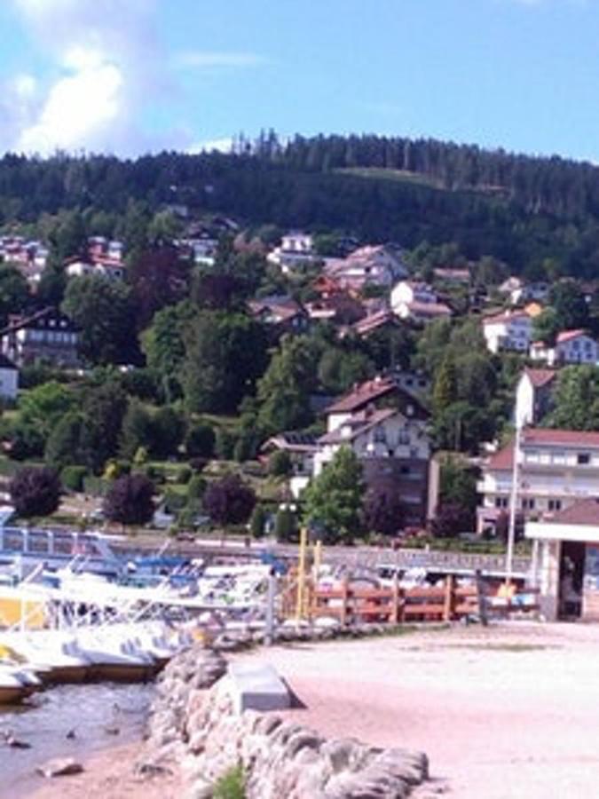 Studio Cosy Avec Vue Sur Lac Et Montagne A Gerardmer 30 M² Ngoại thất bức ảnh